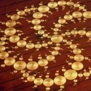 crop circles