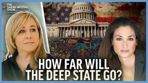 Deep State - Mel K
