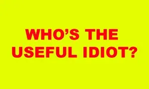 Useful Idiot