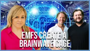 EMF Study - Leela Quantum
