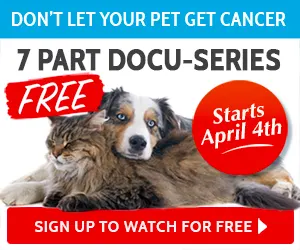 Pet Cancer