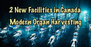 Organ Harvesting