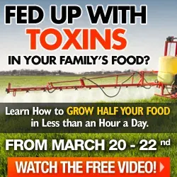 Toxic Food