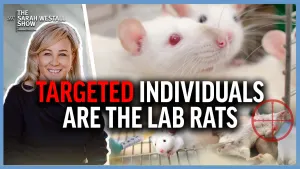 Targeted Individuals - Toledo and Lighthouse