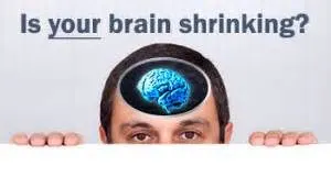 Brain Shrinking